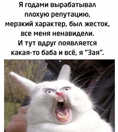 Я годами вырабатывад плохую репутацию мерзкий характер был жесток все меня ненавидели и тут вдруг появляется какая то баба и всё я Зая