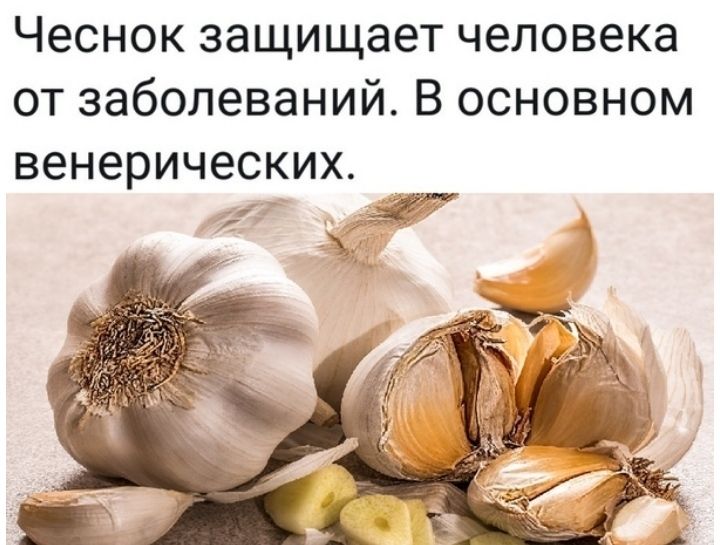 Чеснок защищает человека от заболеваний В основном венерических