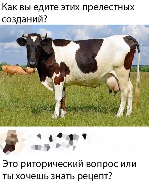 Как вы едите этих прелестных созданий С т Ё Это риторический вопрос или ты хочешь знать рецепт