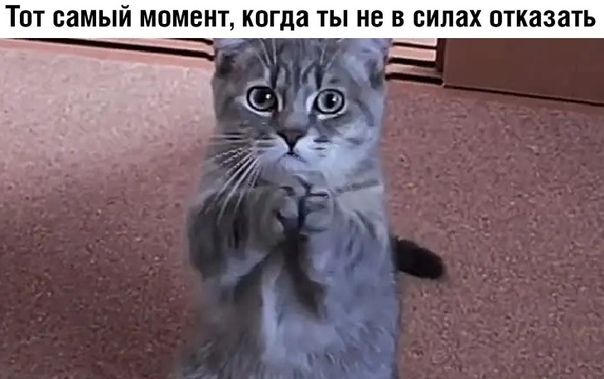 ТОТ самый МОМЕНТ когда ТЫ не В БИЛЗХ ОТКЗЗЗТЬ