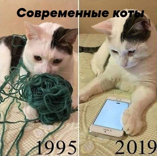 Современные КО
