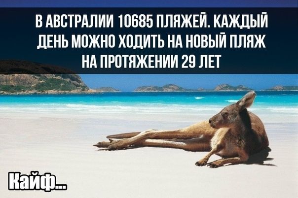 В АВСТРАЛИИ 10885 ПЛЯЖЕИ КАЖДЫЙ ЛЕНЬ МПЖН0 ХОДИТЬ НА НОВЫЙ ПЛЯЖ НА ПРПТЯЖЕНИИ 29 ЛЕТ