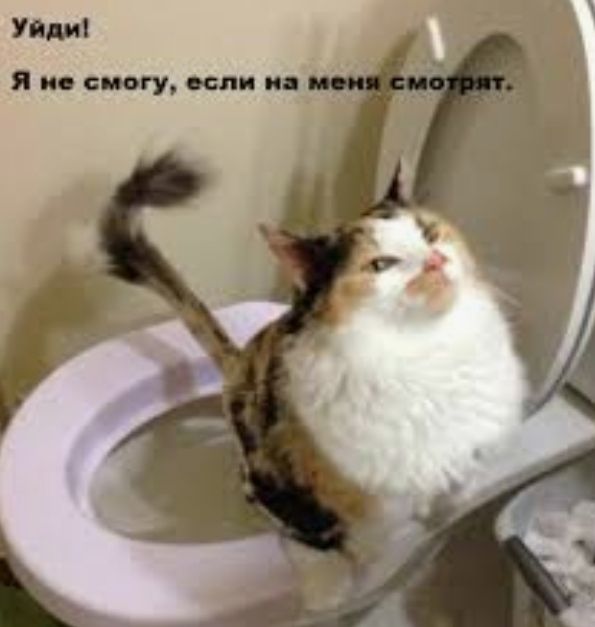 Уй 7 д Я по смогу если и _ _