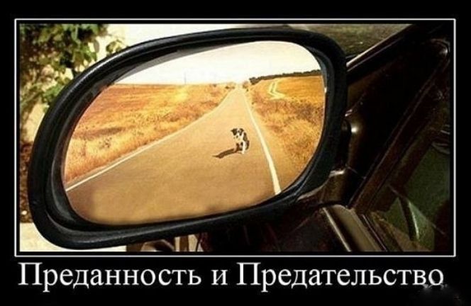т Преданность И Предательство