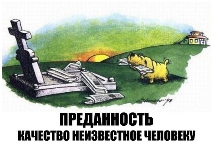 пгтдднііоеть КАЧЕСТВ ншзвютнпі ШВВП