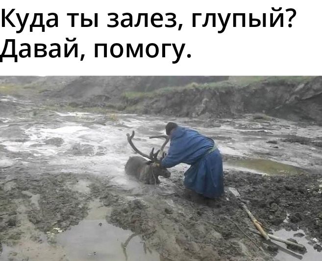 Куда ты залез глупый А авай помогу