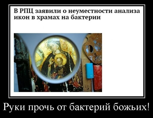 В РПЦ заявили о неуместности анализа икон в храмах на бактерии Руки прочь от бактерий божьих