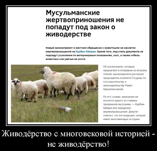 Мусульманские жертвоприношения не попадут под закон о живодерстве и м ш и ни км икииипн мдямжимтымтщ машину гЮЦППАУУКнппеип т кипиш пищи тип иили в шиу Жнводёрство с многовековой историей не живодёрство