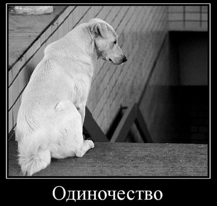 Одиночество