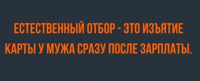 Монти шумнымипн