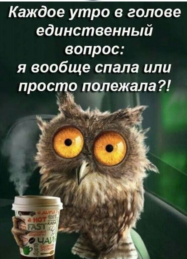 Каждое утро в голове единственный вопрос я вообще спала или прос о Плежала