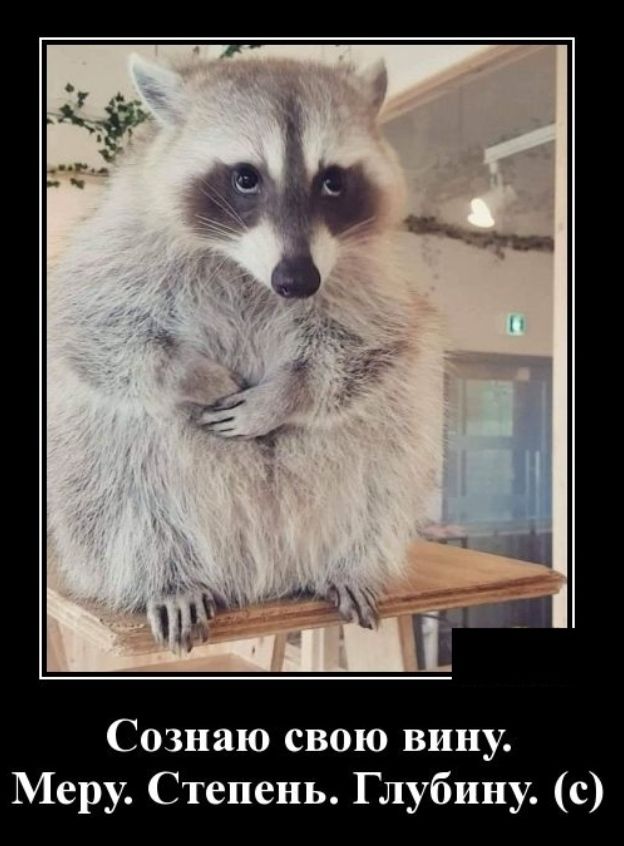 Сознаю свою вину Меру Степень Глубину с
