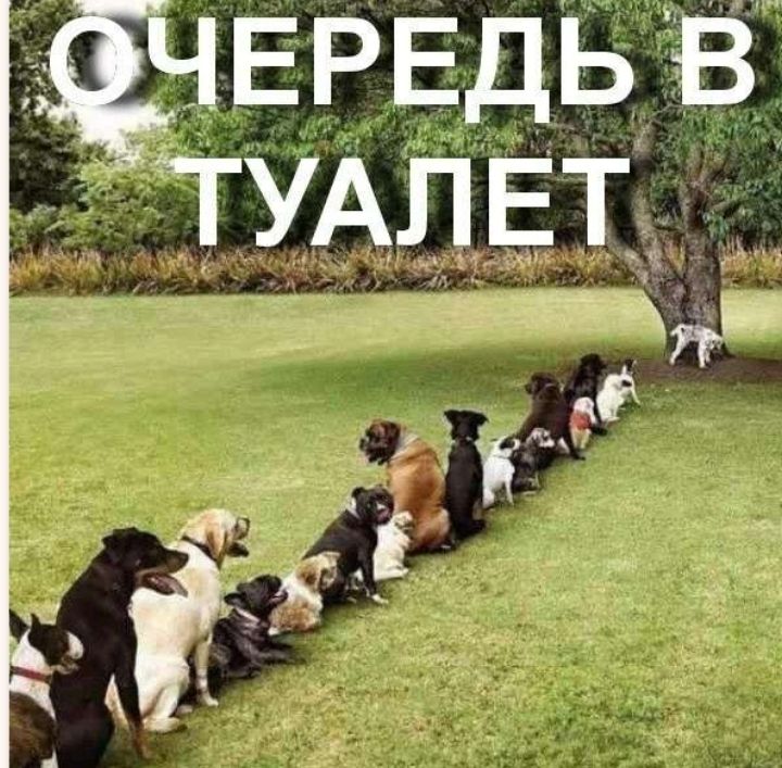 ЧЕРЕДЬ в тУАпЕт