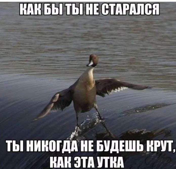 ШШ БЫ ТЫ НЕ ВТАРАЛВП А _ и ТЫ ниногдіі НЕ БУДЕШЬ НРП ШШ ЭТП ГПШ
