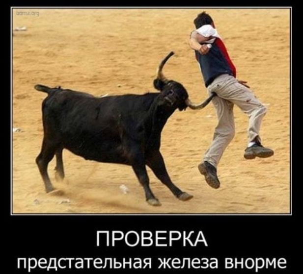 П РОВ Е РКА предстательная железа внорме