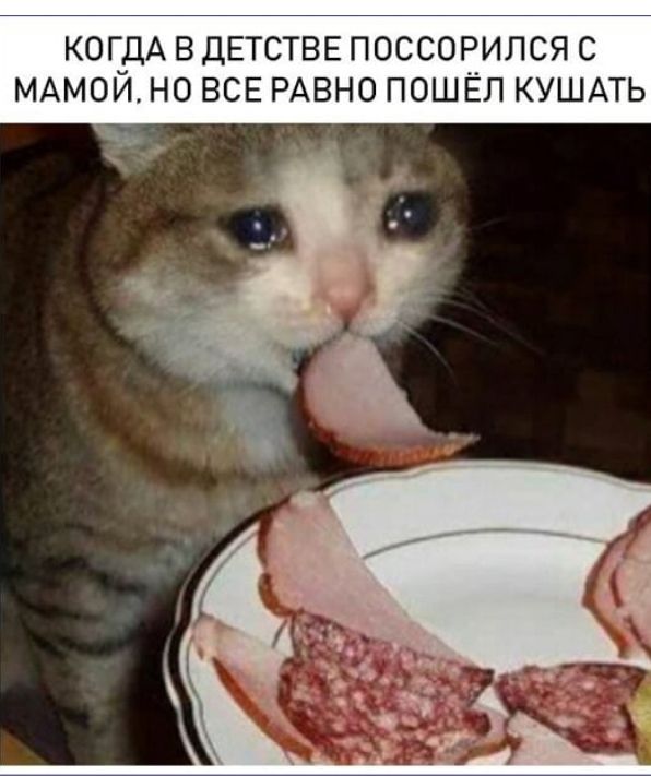 КОЕДА ВДЕТСТВЕ ПОССОРИЛСЯ С МАМОИ НО ВСЕ РАВНО ПОШЁЛ КУШАТЬ