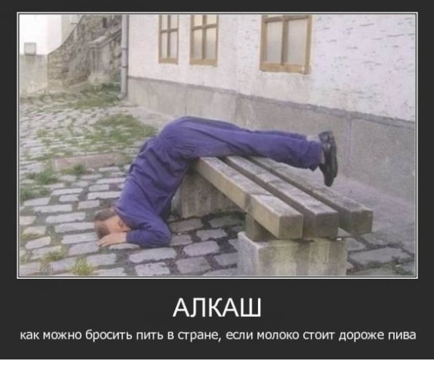 АЛ КАШ как можно бросить пигь в Сграие если молоко сгоит париже пива