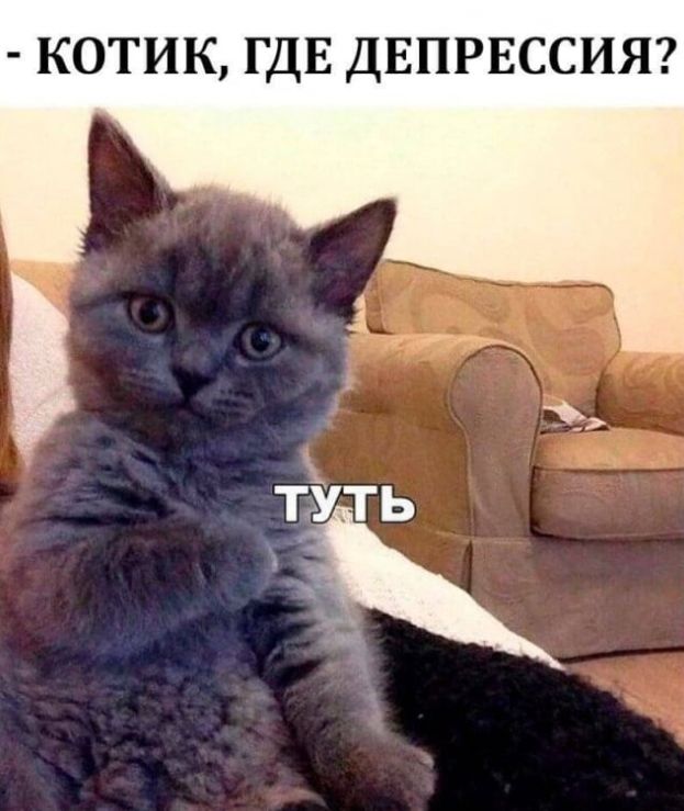 КОТИК ГДЕ ДЕПРЕССИЯ