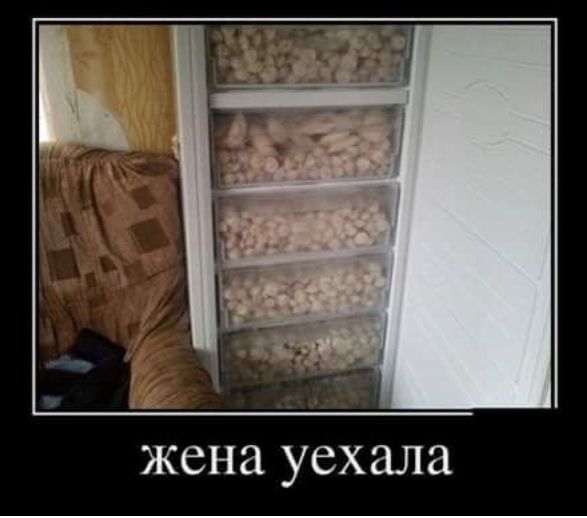 жена уехала