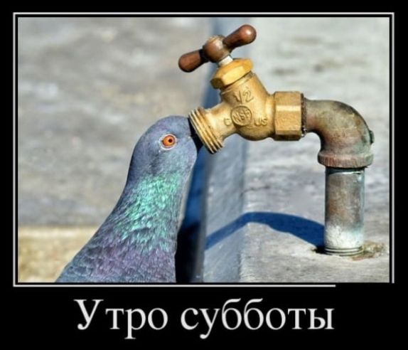 Утро субботы