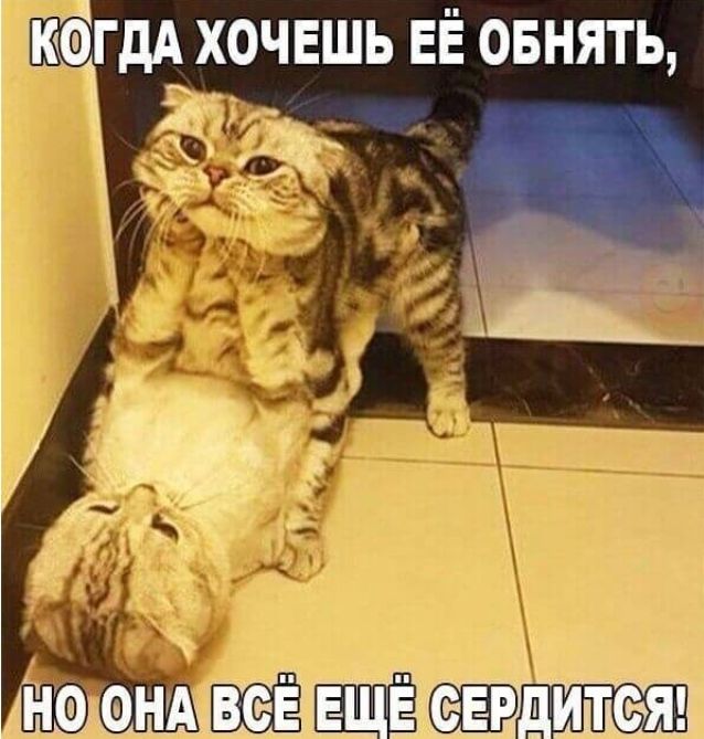 КФГдА ХОЧЕШЬ ЕЁ ОБНЯТЬ
