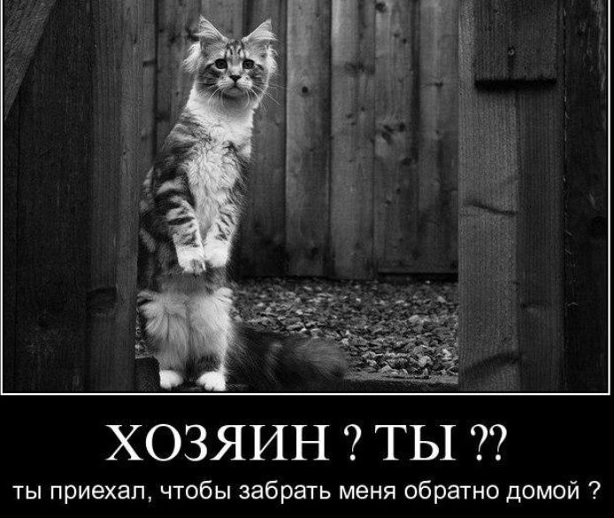ты приехал чтобы забрать меня обратно домой