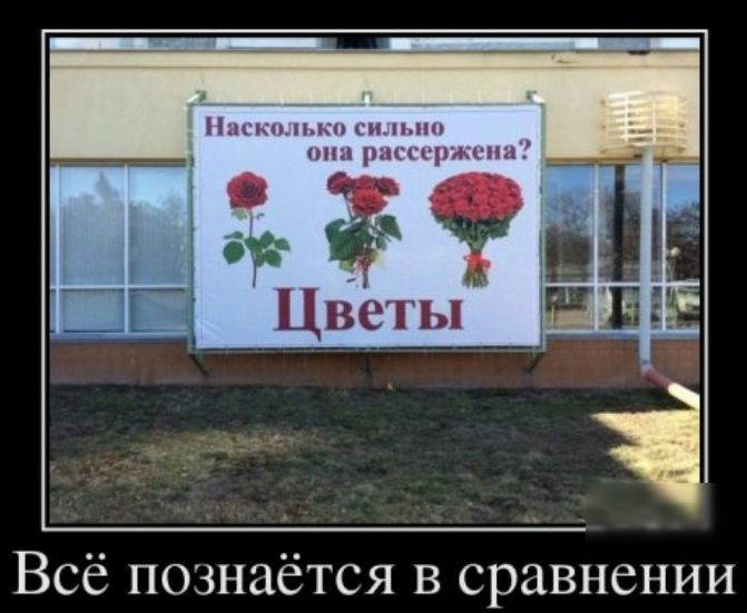 Цвепы НЕЁ Всё познаётся в сравнении