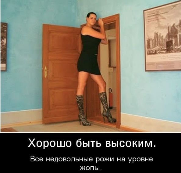 Хорошо быть высоким Все недовольные РОЖИ на уровне ЖОПЫ