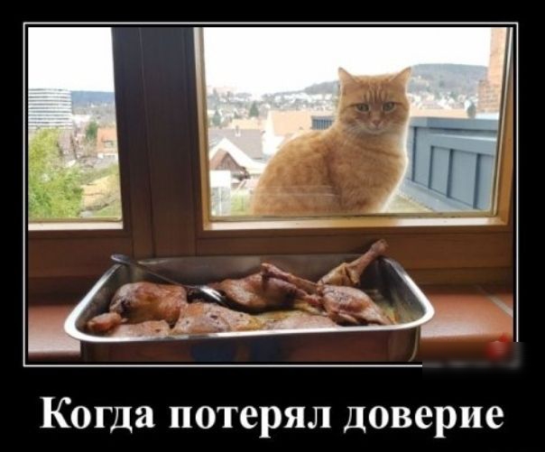 Когда потерял доверие