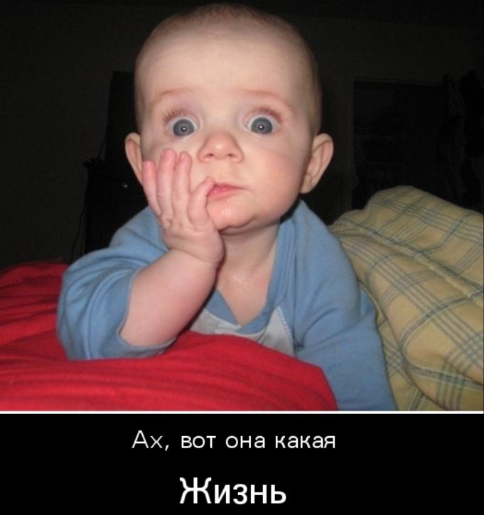 Ах вот она какая Жизнь