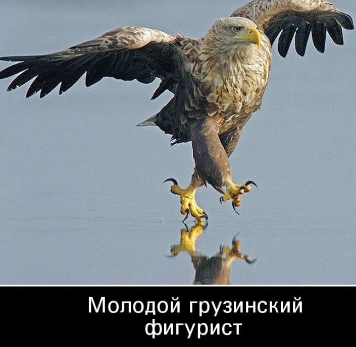 Молодой грузинский фигурист