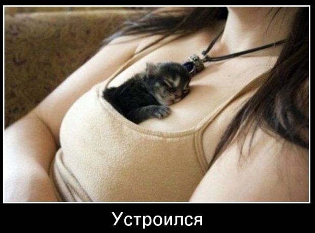 Устроился