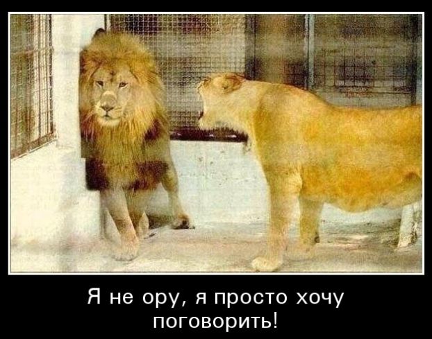 Я не ору я просто хочу поговорить