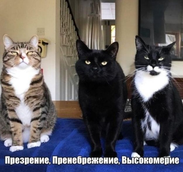 прозваниеппеиеппежеииьВьіЁпипмеіие