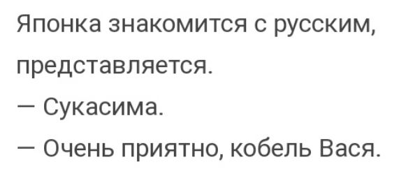 Японка знакомится с русским представляется Сукасима Очень приятно кобель Вася