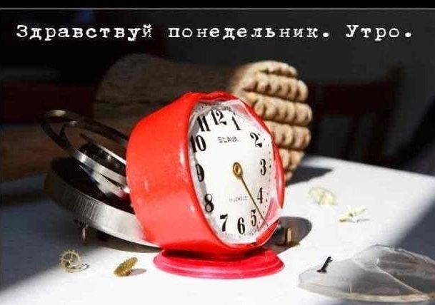 Здравствуй понедельник Утро