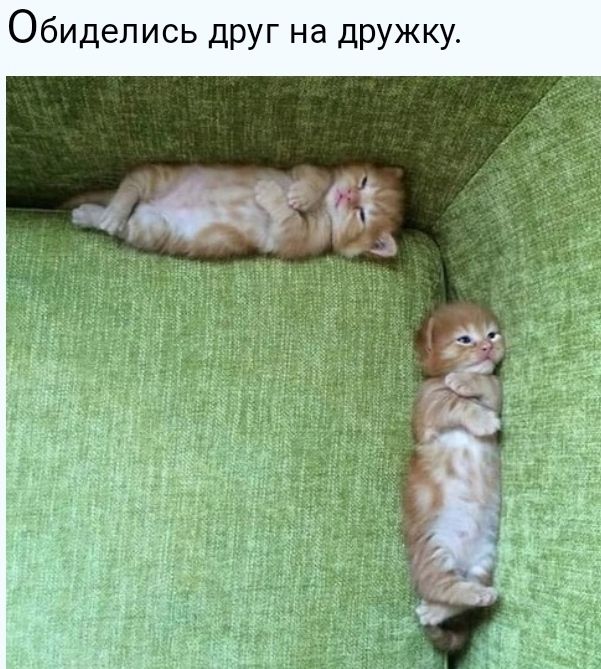 Обиделись друг на дружку
