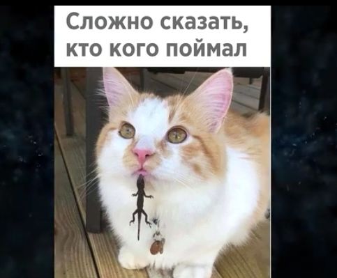 Сложно сказать кто кого поймал