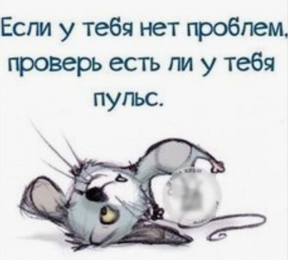 Ест у тебя нет проблем гроверь есть ли у тебя