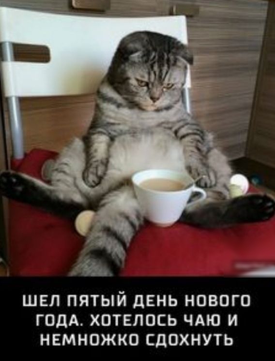 шел пятый двнь нового годА хотелось ЧАЮ и немножко сдохнуть