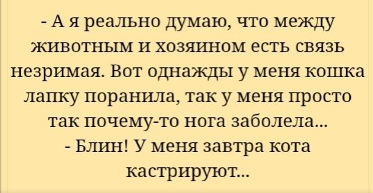 А я реально думаю что между животным И хозяином есть связь незримая Вот однажды у меня кошка лапку поранила так у меня просто так почему то нога заболела Блгш У меня завтра кота кастрируют