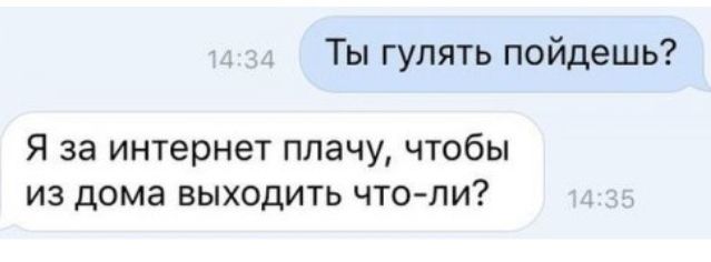 Ты гулять пойдешь Я за интернет плачу чтобы из дома выходить чтопи