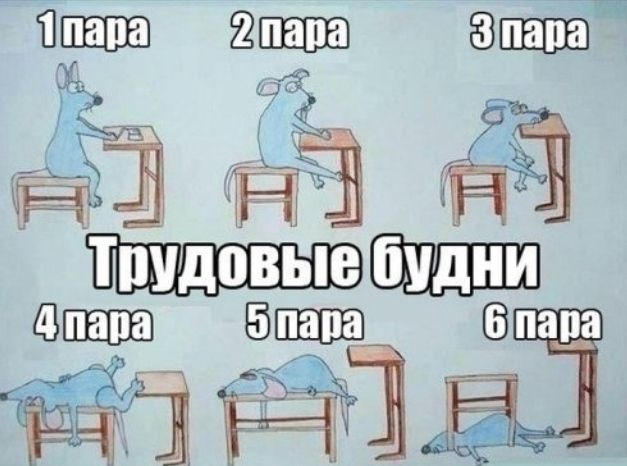 ЁЁ ЁЁ еЕЁШПШ