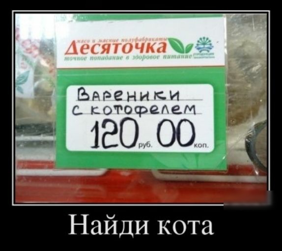 Аесяточкд Ьдреники _ _ с котофеАеМ 18000 _ _в _ Найди кота