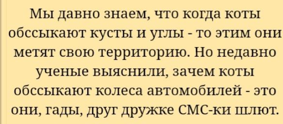 Мы давно знаем что когда коты обссыкают кусты И углы то этим они метят свою территорию Но недавно ученые выяснили зачем коты обссыкают колеса автомобилей это они тады друг дружке СМС ки шлют