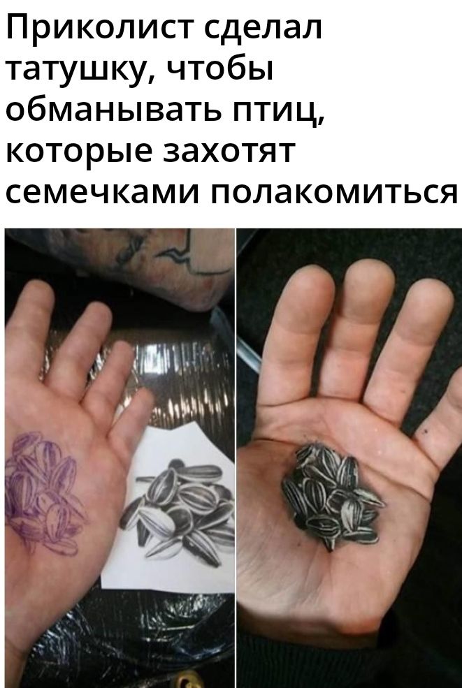 Приколист сделал татушку чтобы обманывать птиц КОТОРЫЕ ЗЭХОТЯТ семечками ПОЛЭКОМИТЬСЯ