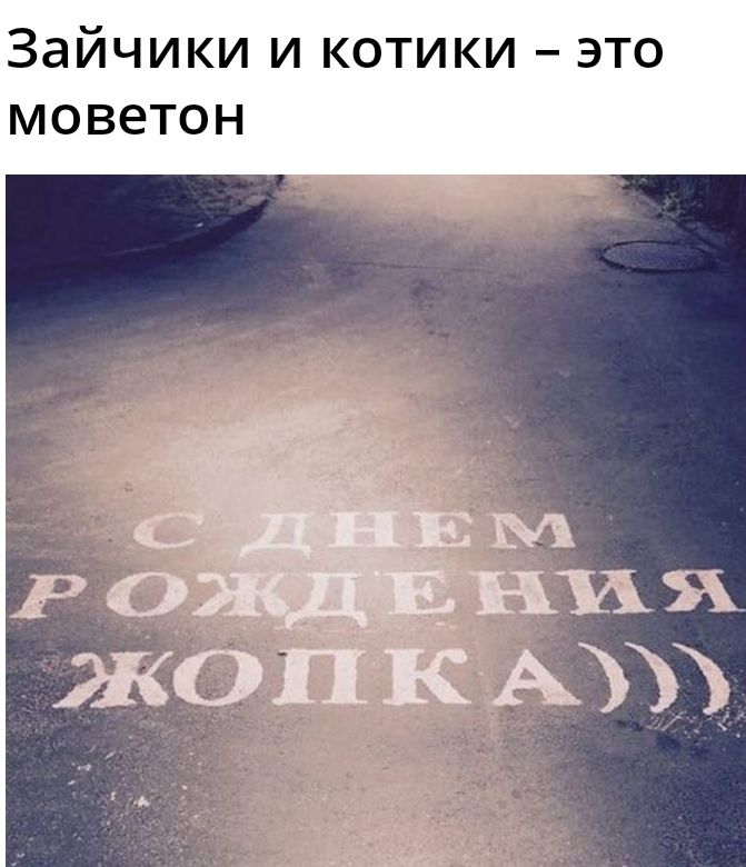 Зайчики И КОТИКИ ЭТО МОВЕТОН Ж А