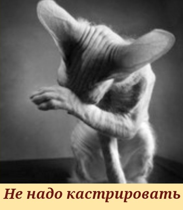 Не надо кастрировать