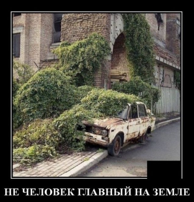 НЕ ЧЕЛОВЕК ГЛАВНЫЙ НА ЗЕМЛЕ
