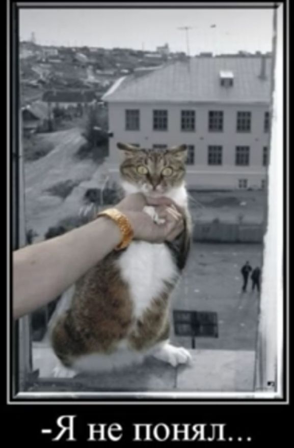 Я не понял